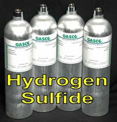 Gasco Hydrogen Sulfide Calibration Gas for Gas Detector